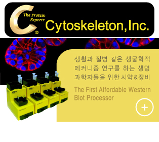 [Cytoskeleton] GO Blot™ Western Blot 자동화 장치