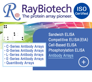 [RayBiotech]최첨단 Protein Array기술 보유 Clamp
